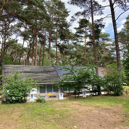 Ferienglück - 100 M Zum - Garten&privatterrasse - Hund Willkommen Ferienhaus