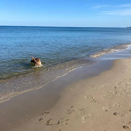 Ferienglück - 100 M Zum - Garten&privatterrasse - Hund Willkommen Karlshagen