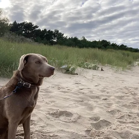 Ferienglück - 100 M Zum - Garten&privatterrasse - Hund Willkommen Karlshagen