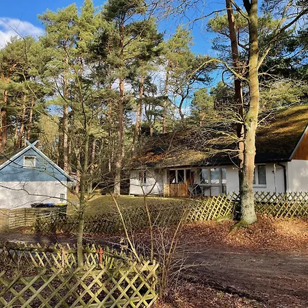 Ferienglueck - 100 M Zum - Garten & Privatterrasse - Hund Willkommen