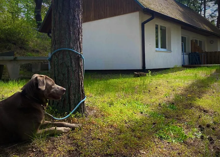 Ferienglueck - 100 M Zum - Garten & Privatterrasse - Hund Willkommen