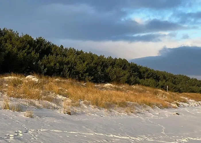 Ferienglueck - 100 M Zum - Garten & Privatterrasse - Hund Willkommen